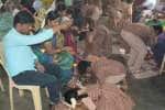 பெற்றோருக்கு பாத பூஜை குழந்தைகளுக்கு 
