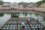திருத்தணி மலைக்கோவிலுக்கு இருசக்கர வாகனங்கள் செல்ல தடை!