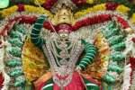 கும்மிடிப்பூண்டி ஏகவள்ளி அம்மன் வீதியுலா!