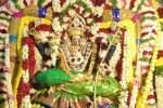 சிதம்பரம் மாரியம்மன் கோவில் தெருவடைச்சான் வீதியுலா