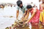 திருச்சி காவிரி கரையில் ஆடிப்பெருக்கு வழிபாடு