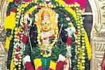 அங்காளம்மன் கோவிலில் ஆடி பொங்கல் திருவிழா