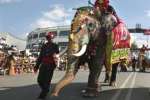 களை கட்டுகிறது மைசூரு தசரா விழா: முதல் கட்ட யானைகள் 21ல் புறப்பாடு