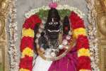 அந்திலி லட்சுமி நரசிம்மர் கோவிலில் சுவாதி சிறப்பு பூஜை