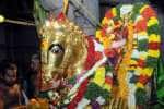 தங்க குதிரை வாகனத்தில் மதுரை மீனாட்சி அம்மன் உலா!