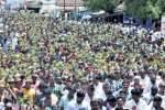 மஞ்சநாயக்கன்பட்டி ஆடித்திருவிழாஅம்மனுக்கு 1008 பால்குட அபிஷேகம்