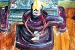 வில்வமரத்தில் தயாரான சிவலிங்கம், நந்தி வழிபாடு!