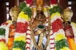 திருக்கோளூர் வைத்தமாநதி பெருமாள் கோயில் தேரோட்டம்