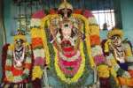 ஸ்ரீசீனுவாச பெருமாள் கோவிலில் திருக்கல்யாண உற்சவம்