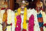 சந்தானகோபாலகிருஷ்ணன் சுவாமி கோயிலில் திருக்கல்யாண உற்சவம்
