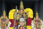 நரசிம்ம பெருமாள் கோவிலில் திருபவித்ர விழா கோலாகலம்