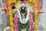கிணத்துக்கடவு பெருமாள் கோவிலில் புரட்டாசி விழா