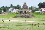 பராமரிப்பில்லாத வாசீஸ்வரர் கோவில் குளம்