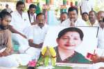 முதல்வர் ஜெ.,நலம் பெற வேண்டி அ.தி.மு.க.,வினர் சிறப்பு பூஜை