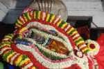 வீரட்டானேஸ்வரர் கோவிலில் நவராத்திரி விழா