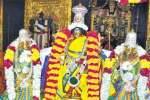 விருதுநகர் சீனிவாச பெருமாள் கோயிலில் திருக்கல்யாணம்!