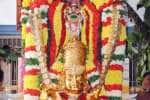 சரநாராயண பெருமாள் கோவிலில் ஏக தின பிரம்மோற்சவம்!