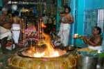 அய்யாவாடியில் சிறப்பு யாகம்: திரளான பக்தர்கள் தரிசனம்!