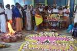 தண்டு மாரியம்மன் கோவிலில் சிறப்பு யாகசாலை பூஜை