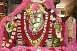 திருப்பூர் விஸ்வேஸ்வரர் கோயிலில் கந்தசஷ்டி விழா!