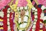 விஸ்வேஸ்வர சுவாமி கோவிலில் கந்த சஷ்டி விழா சிறப்பு வழிபாடு