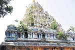 ஏகாம்பரநாதர் கோவில் நடராஜர் கோபுரத்திற்கு ஆபத்து?