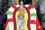 ஸ்தலசயன பெருமாள் கோவிலில் பொய்கையாழ்வார் உற்சவம்