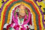 சென்னிமலை மாரியம்மன் கோவில் பொங்கல் விழா