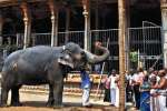 ஸ்ரீரங்கம் வைகுண்ட ஏகாதசி விழா: முகூர்த்தக்கால் நடப்பட்டது!