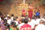 ஜவ்வாது மலையில் மழை வேண்டி நெல்லி மரத்திற்கு பூஜை