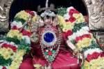 திருப்பரங்குன்றம் கோயிலில் எண்ணெய் காப்பு திருவிழா