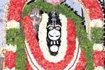 வீர ஆஞ்சநேயர் கோயிலில் அனுமன் ஜெயந்தி