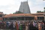 புத்தாண்டை முன்னிட்டு திருவண்ணாமலை கோவிலில் பக்தர்கள் வழிபாடு