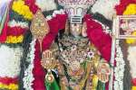 கந்த பெருமான் பல்லக்கு உற்சவம் நிறைவு