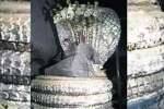 திருவொற்றியூர் கோவில் வாகன மண்டபம் பழது