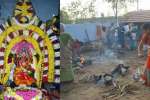 சென்னிமலை எல்லை மாகாளியம்மன் கோவில் பொங்கல் விழா