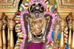 தர்மபுரி சிவன் கோவில்களில் ஆருத்ரா தரிசனம்: ஆயிரக்கணக்கான பக்தர்கள் வழிபாடு