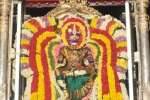 தி.மலையில் வெள்ளி  விமானத்தில் பிடாரியம்மன் உலா