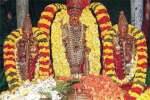 திருவள்ளூர் வீரராகவ பெருமாள் கோவிலில் தேரோட்டம்