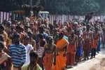 பழநியில் தைப்பூச திருவிழா: அலகு குத்தி பக்தர்கள் பரவசம்
