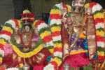 உலகளந்த பெருமாள் கோவிலில் தாயார் அத்யயன உற்சவம்!