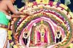 அரோகரா கோஷங்கள் முழங்க சென்னிமலை முருகன் தேரோட்டம்