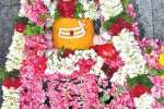 மகா சிவராத்திரி விழா: திருப்பூர் சிவாலயங்களில் சிறப்பு பூஜை