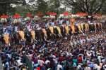 பாலக்காடு மணப்புள்ளிக்காவு அம்மன் கோவில் திருவிழா