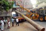 கும்பகோணம் சாரங்கபாணி சுவாமி கோவிலுக்கு 70 அடி உயர புதிய கொடி மரம்!