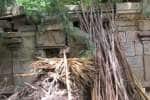 தினமலர் செய்தி எதிரொலி: சமணர் கோவிலை புதுப்பிக்க முடிவு