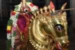 மதுரை மீனாட்சி மாசி விழா:  தங்க குதிரை வாகனத்தில் அம்மன் உலா