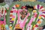 விபச்சித்து முனிவருக்கு விருத்தகிரீஸ்வரர் காட்சியளிப்பு: பக்தர்கள் பரவசம்!