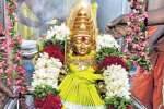 முத்துமாரியம்மன் கோவில் திருக்கல்யாண உற்சவம்