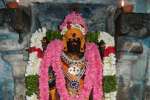 காயநிர்மலேஸ்வரர் கோவிலில் மகா சண்டி யாக பூஜை